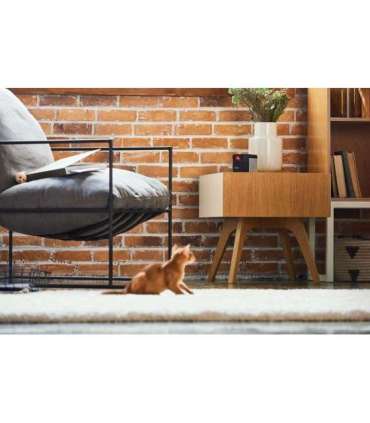 WRL CAMERA PLAY 2/PP20US PETCUBE