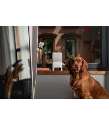 WRL CAMERA BITES 2 LITE/BL10US PETCUBE