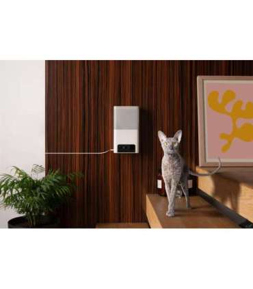 WRL CAMERA BITES 2 LITE/BL10US PETCUBE