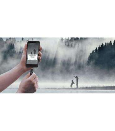 MEMORY DRIVE FLASH USB-C 32GB/SDDDC3-032G-G46 SANDISK