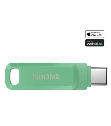 MEMORY DRIVE FLASH USB-C 256GB/SDDDC3-256G-G46AG SANDISK