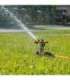 GARDEN SPRINKLER IMPULSE ROUND/530M2 DWS 1120 DAEWOO