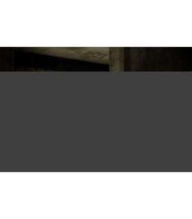 Cooker hood Faber Talika old copper