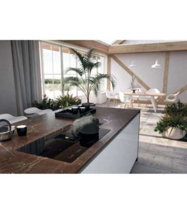 Induktsioonpliidiplaat koos õhupuhastajaga Faber Galileo Smart 60