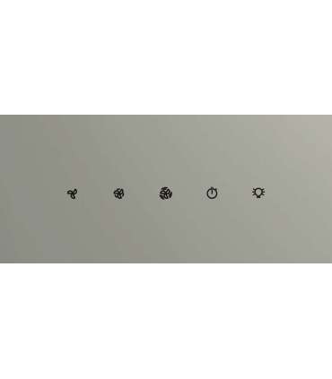 Õhupuhastaja Whirlpool WHVP62FLTSD