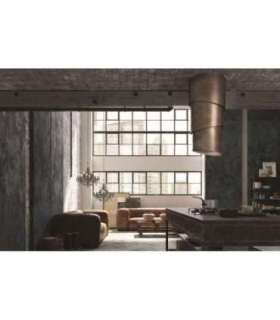 Cooker hood Faber Pareo Plus Tibetian Silver