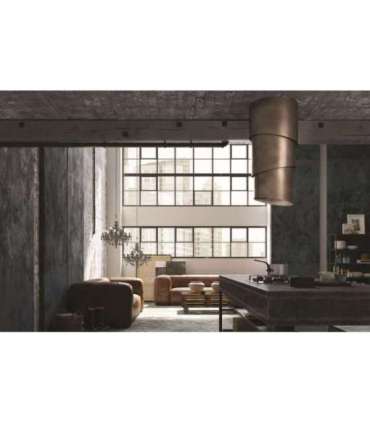 Cooker hood Faber Pareo Plus Tibetian Silver