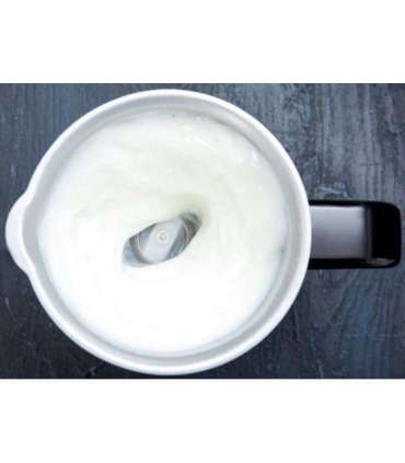 Piimavahustaja Gastronoma 18150003