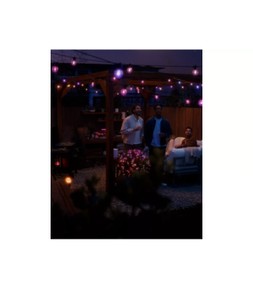 Philips Hue Festavia globe string 21m 30bulb ext|Philips Hue