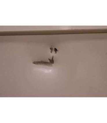 SALE OUT. Gorenje Freezer FH43EAW, Energy efficiency class E, Chest, Free standing, Height 85.8 cm, Total net capacity