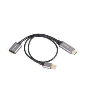 Lanberg HDMI (M) to Displayport (F) Adapter 4K on cable 20cm, Silver AD-HD-DP-02