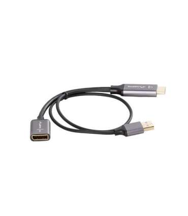 Lanberg HDMI (M) to Displayport (F) Adapter 4K on cable 20cm, Silver AD-HD-DP-02