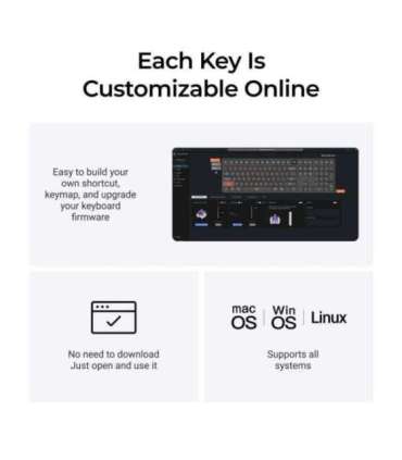 KEYBOARD WRL Q6 HE RGB/SHELL WHITE Q6H-P1 KEYCHRON