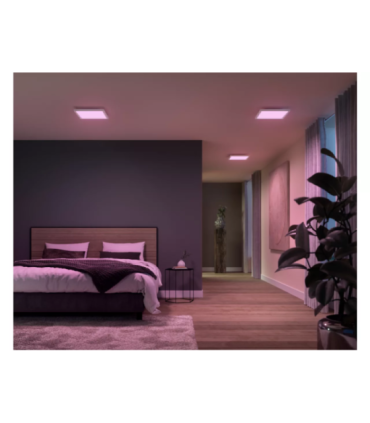 Philips Hue Surimu Panel SQ small Philips Hue