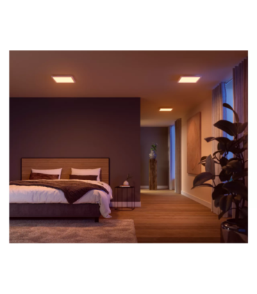 Philips Hue Surimu Panel SQ small Philips Hue