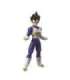 DRAGON BALL SUPER EVOLVE - VEGETA