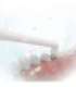 Replacement brush head Sencor