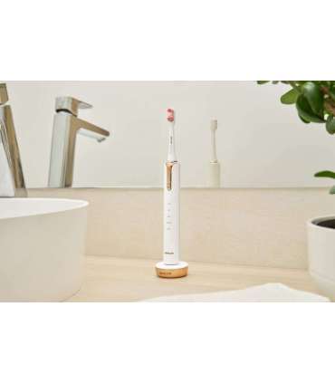 Elektriline hambahari Sencor SOC4103GD