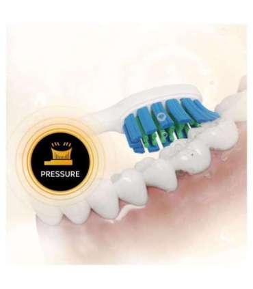 Elektriline hambahari Sencor SOC5011GD