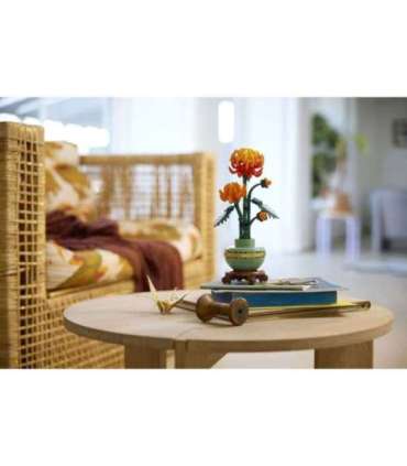 LEGO Botanical Collection Krüsanteem