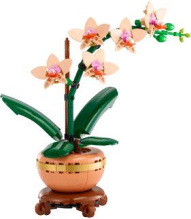 LEGO Botanicals Väike orhidee