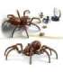 LEGO Harry Potter Aragog Keelatud metsas