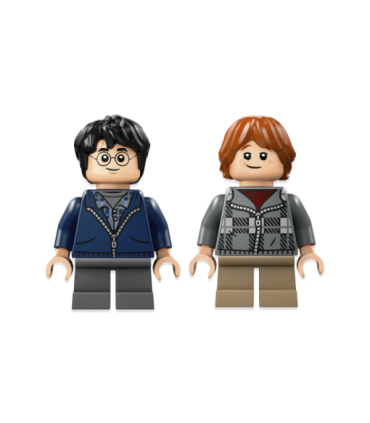 LEGO Harry Potter Aragog Keelatud metsas