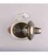 Feel-Maestro MR042 beige electric kettle 1.7 L Beige, Brown 2200 W