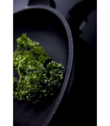 Praepann AMT Gastroguss I420EZ2