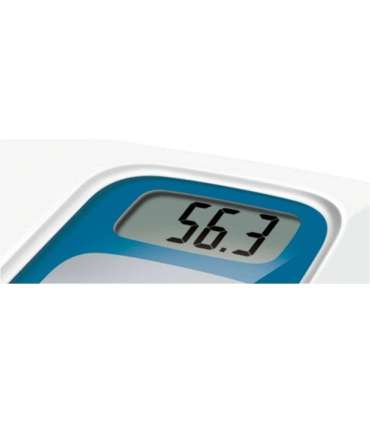 Kaal Terraillon Window Vocal