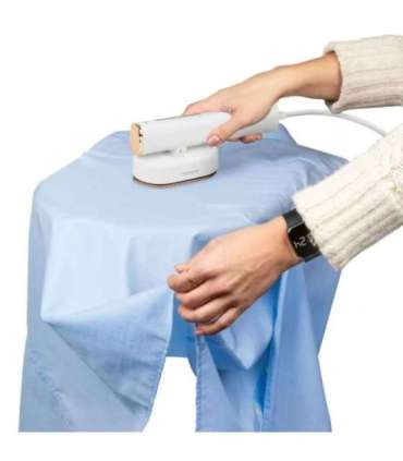 Garmet steamer Proficare