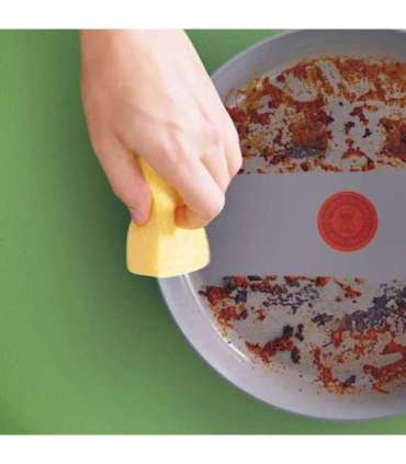 Tefal Renew+ C4240253 frying pan All-purpose pan Round