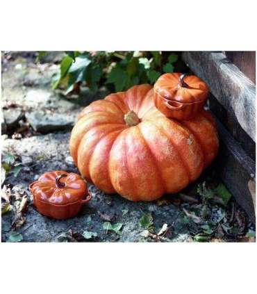 ZWILLING 40511-555 0.501 L Wavy round Ceramic Ramekin baking dish