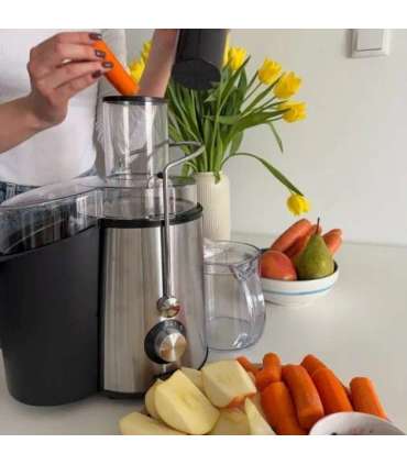 MPM MSO-18-M Juicer 1000 W Black, Silver