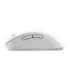 MOUSE USB OPTICAL WRL MD102/WHITE 90XB0900-BMU000 ASUS