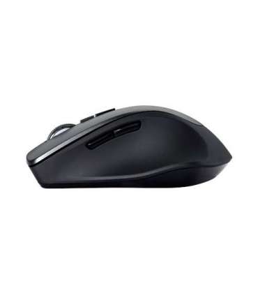 Asus WT425 Wireless Optical Mouse wireless Black, Charcoal