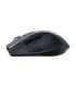 Asus WT425 Wireless Optical Mouse wireless Black, Charcoal