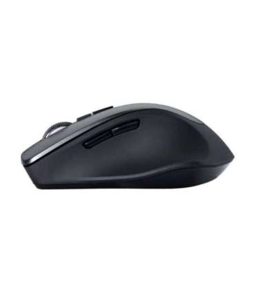 Asus WT425 Wireless Optical Mouse wireless Black, Charcoal