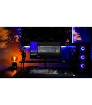 KEYBOARD WRL THOCK V2/EY5A129 ENDORFY