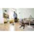 Vacuum Cleaner|KARCHER|dry&wet|Electric broom|Grey/White/Black|Bagless|Battery| 2.3 kg|1.056-200.0
