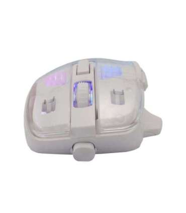 Baracuda BGM-062 Anglerfish White