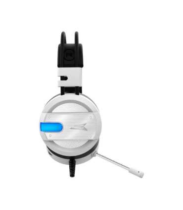 Baracuda BGH-031 Conch White