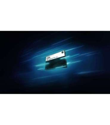 Kingston Technology 3.84TB DC3000ME U.2 PCIe 5.0 NVMe TCG Opal Enterprise SSD