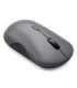 Lenovo 700 mouse Office Ambidextrous RF Wireless + Bluetooth Optical 4000 DPI