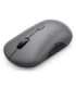 Lenovo 700 mouse Office Ambidextrous RF Wireless + Bluetooth Optical 4000 DPI