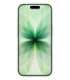 Apple iPhone 17 16 cm (6.3") Dual SIM iOS 26 5G USB Type-C 256 GB Sage