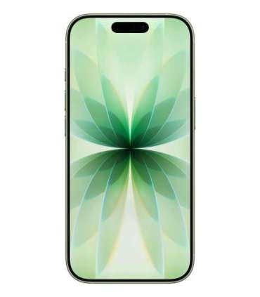 Apple iPhone 17 16 cm (6.3") Dual SIM iOS 26 5G USB Type-C 256 GB Sage