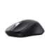 Trust 25673 mouse Universal Ambidextrous Bluetooth 3200 DPI