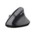 Trust TM-270 mouse Office Right-hand RF Wireless Optical 2400 DPI