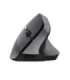 Trust TM-270 mouse Office Right-hand RF Wireless Optical 2400 DPI